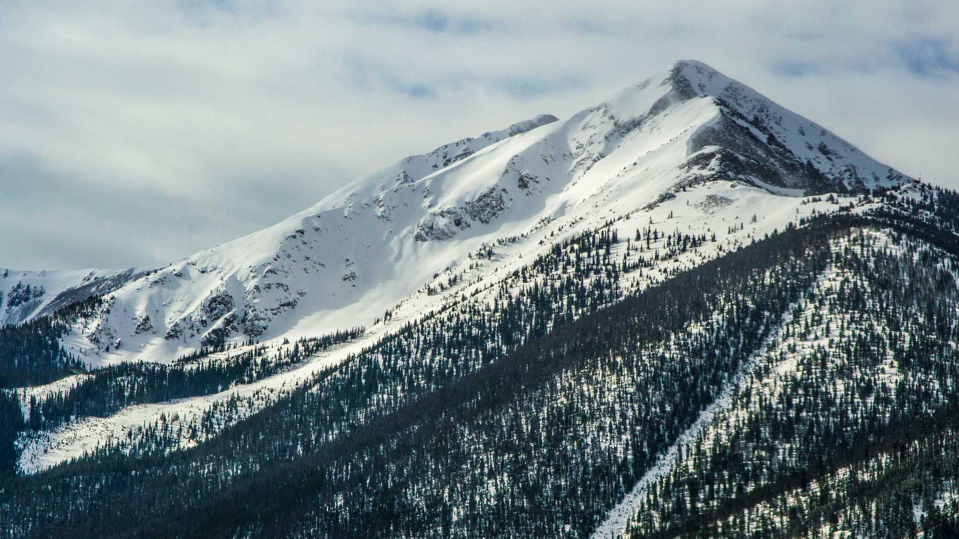 Dolorem molestias soluta omnis aut tenetur.